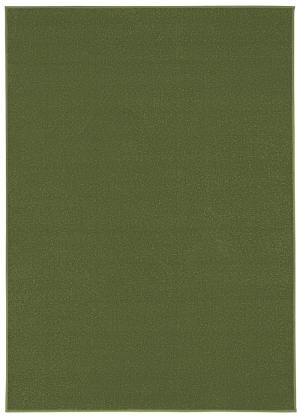 Mono Ühevärviline vaip Samblaroheline